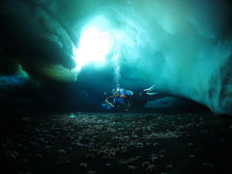Dilumacad Tunnel