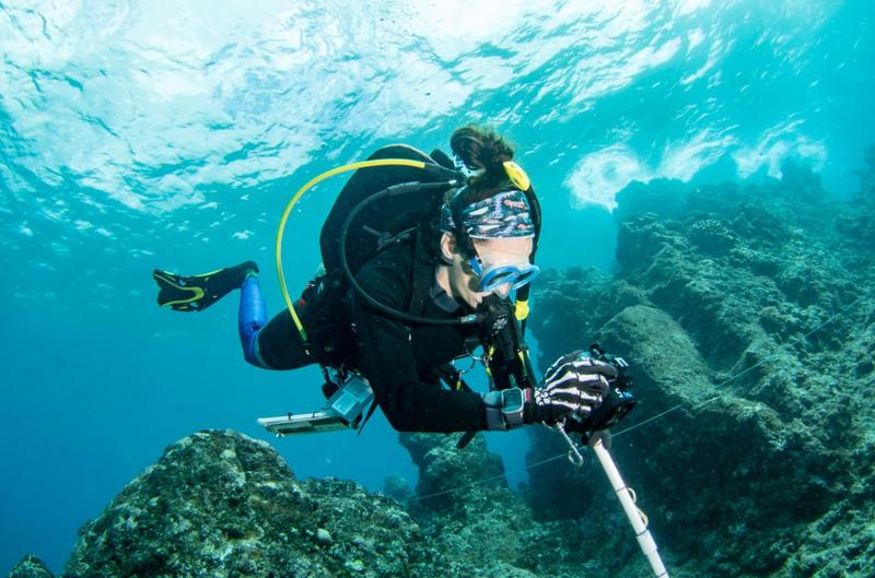 Diver over hard coral