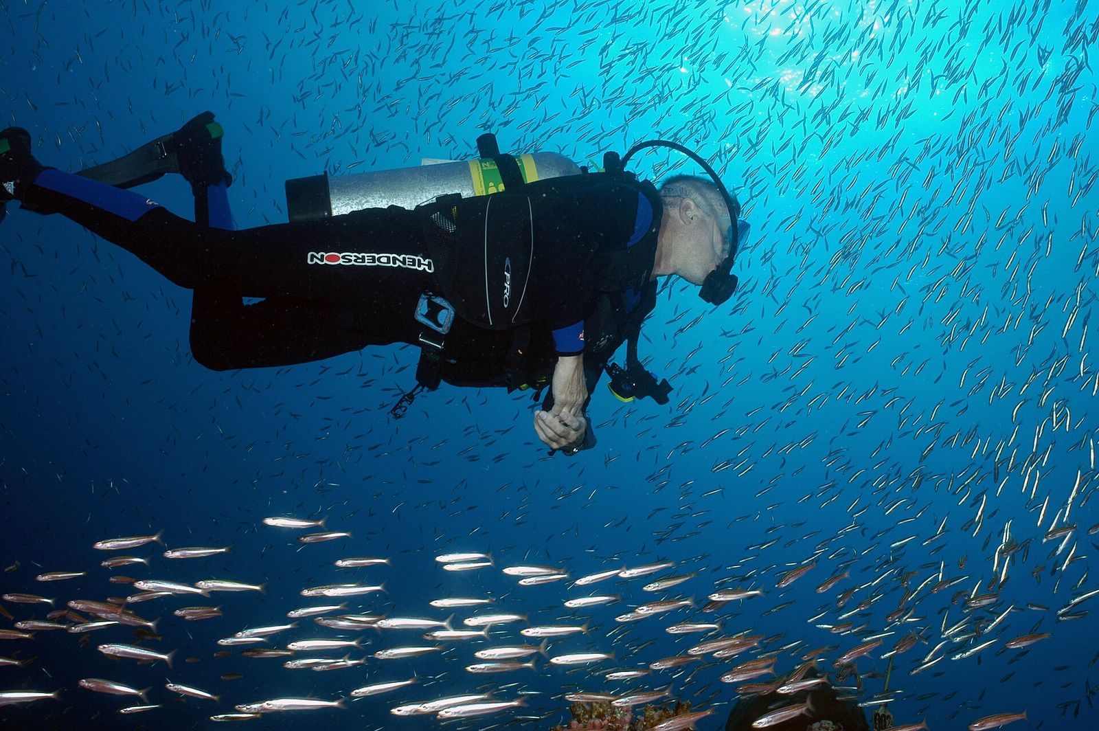 A diver inside a school of fish over the reef
